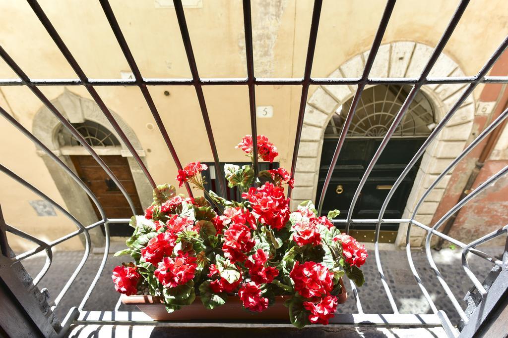 רומא Maison Del Fico Piazza Navona מראה חיצוני תמונה